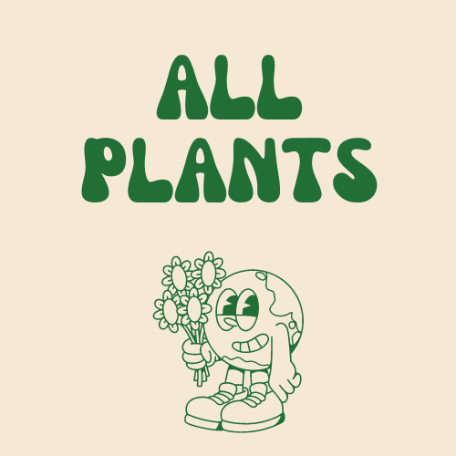 all plants