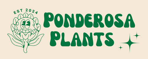 Ponderosa Plants